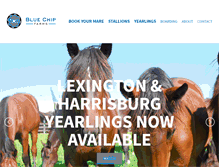 Tablet Screenshot of bluechipfarms.com